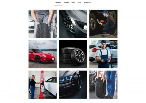 Modern car accessories website powered by Elementor | By-YuSa