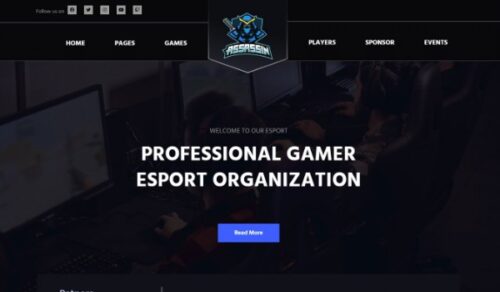 Assassin Esports Website Template Elementor Pro