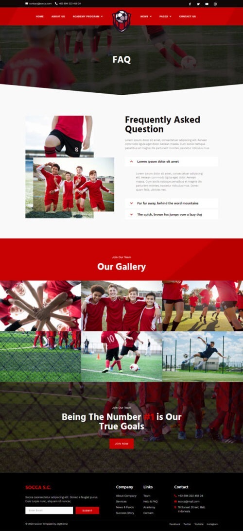 Sleek and modern design for a sports academy website.