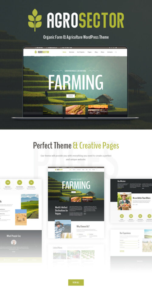 SEO-Friendly WordPress Theme for Farming and Organic Products