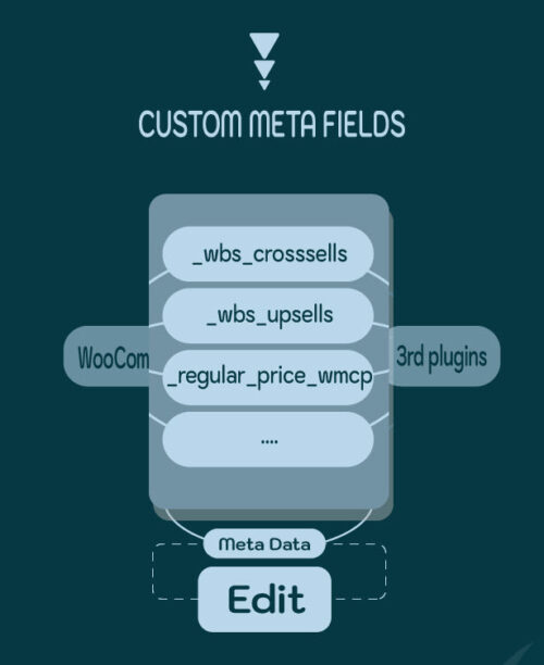 "Edit custom fields effortlessly with Bulky Pro."